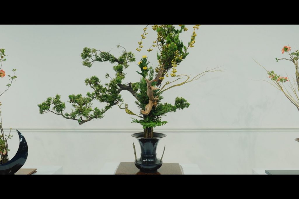 「龍生いけ花様」コンセプトムービー